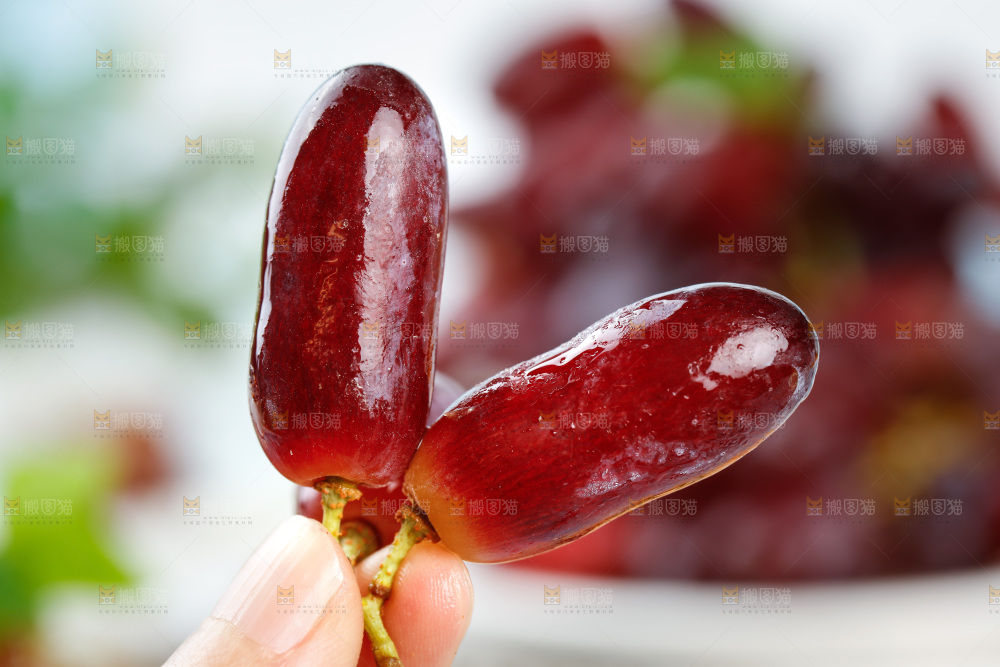 浅底上的金手指葡萄