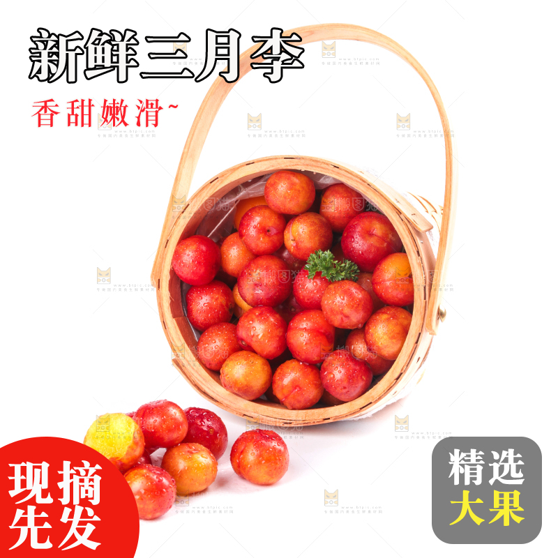 白底上的三月李