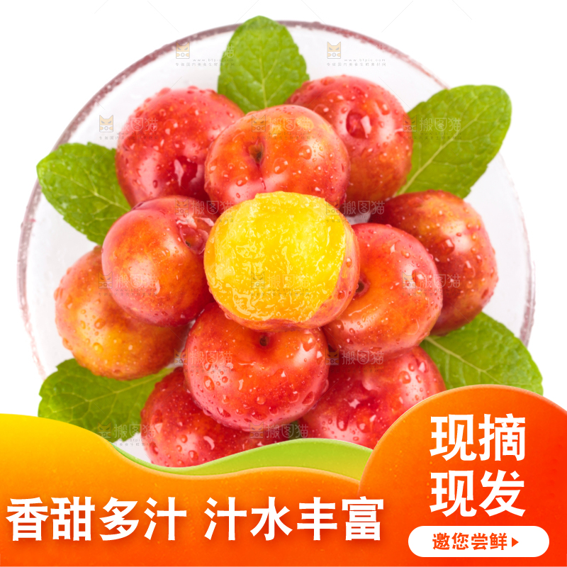 白底上的三月李