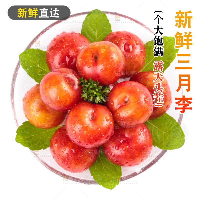 白底上的三月李