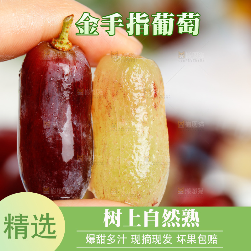 浅底上的金手指葡萄