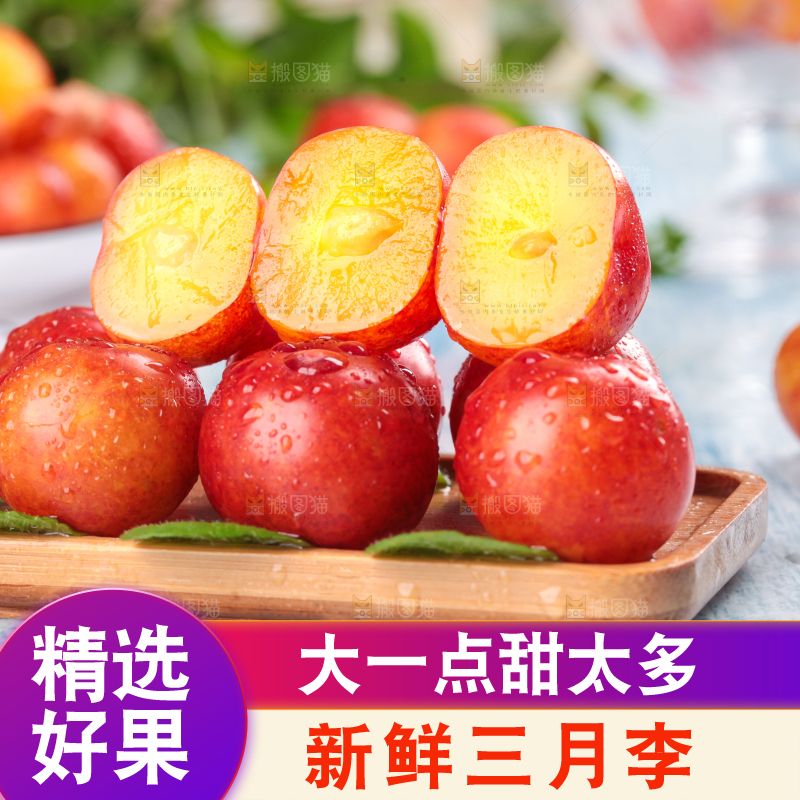 浅底上的三月李