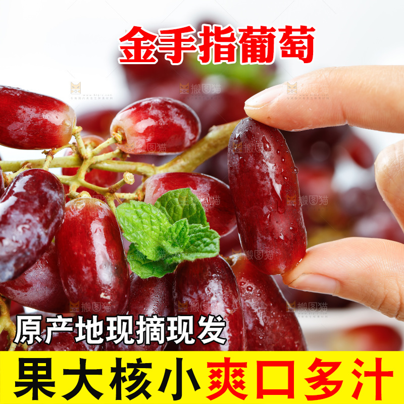 浅底上的金手指葡萄