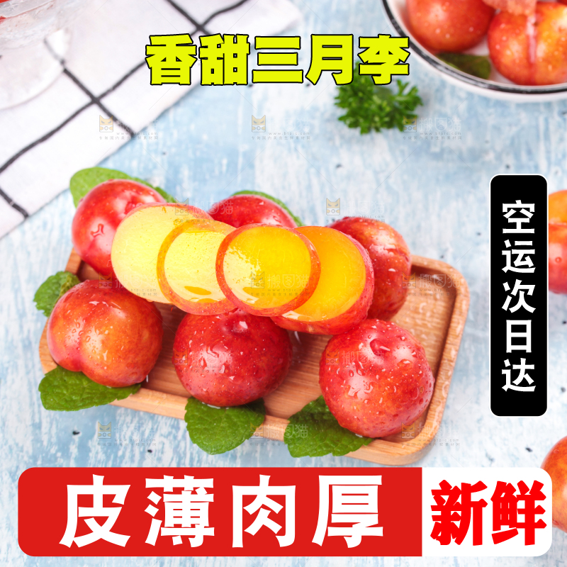 浅底上的三月李