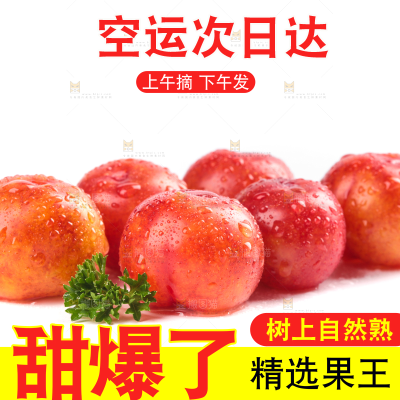 白底上的三月李