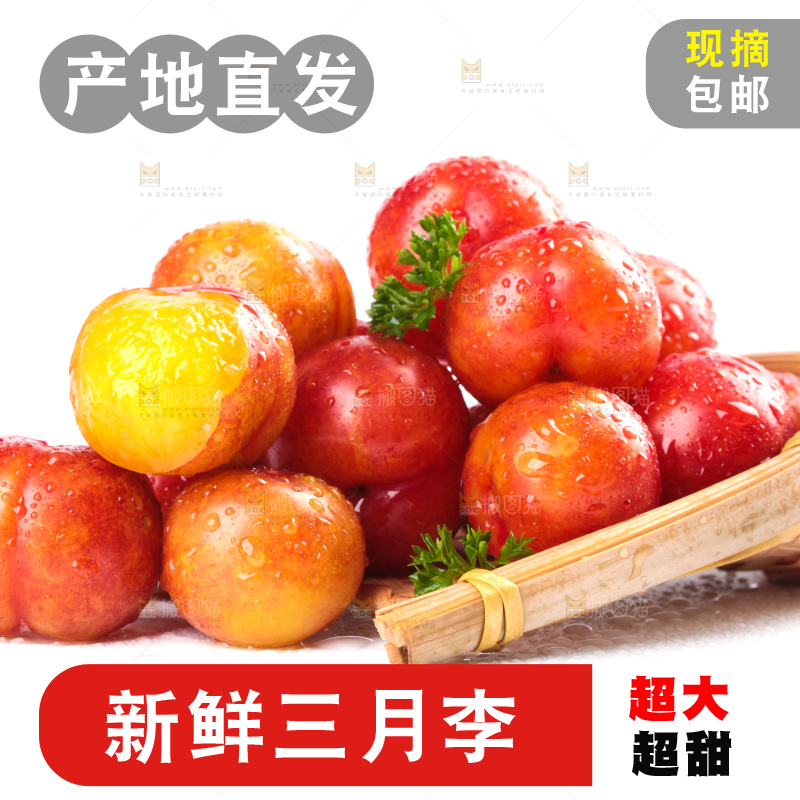 白底上的三月李