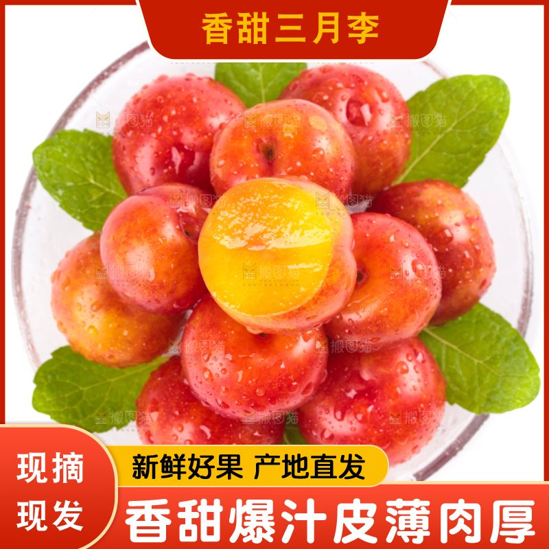 白底上的三月李