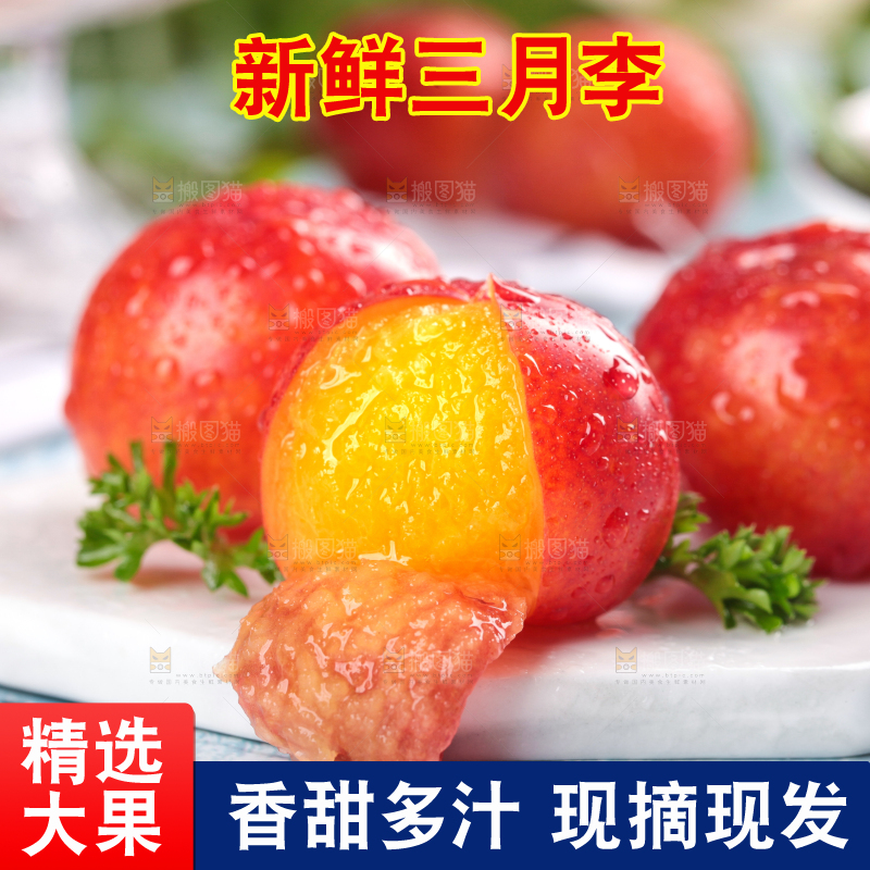 浅底上的三月李