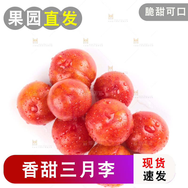 白底上的三月李