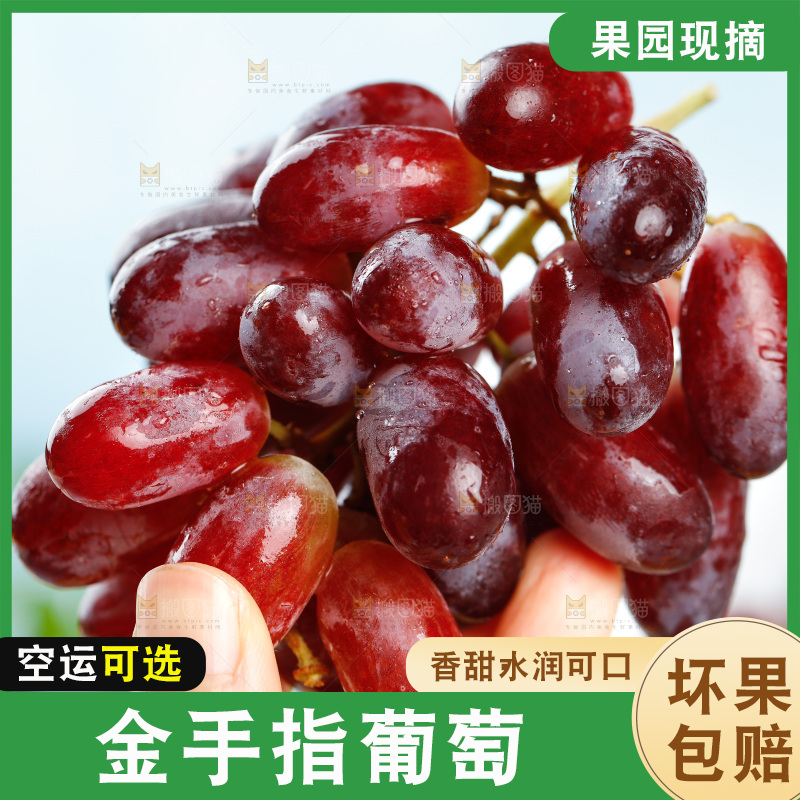 浅底上的金手指葡萄