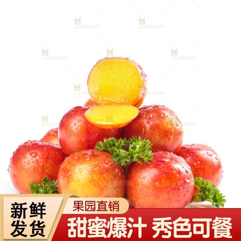 白底上的三月李