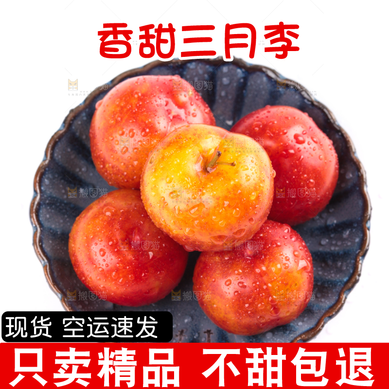 白底上的三月李