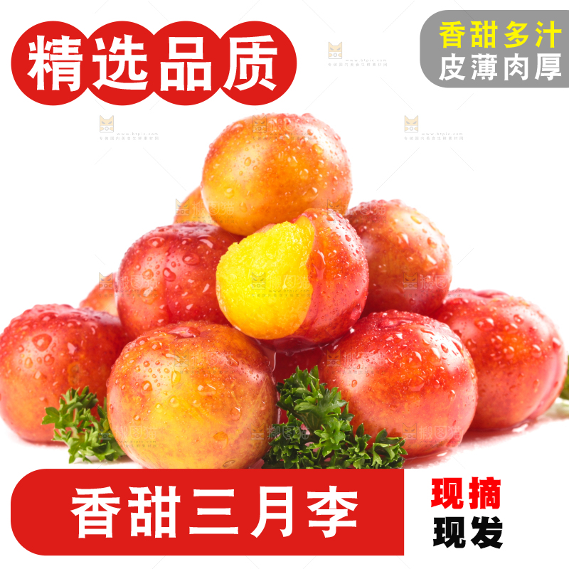 白底上的三月李