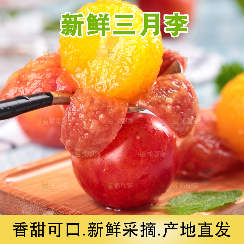 浅底上的三月李