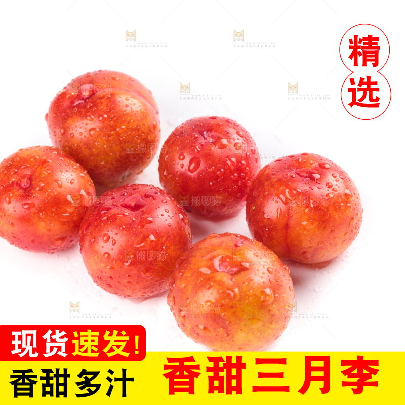 白底上的三月李