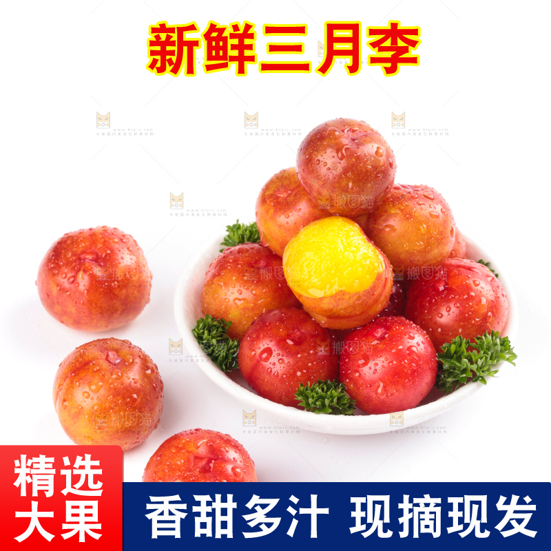 白底上的三月李