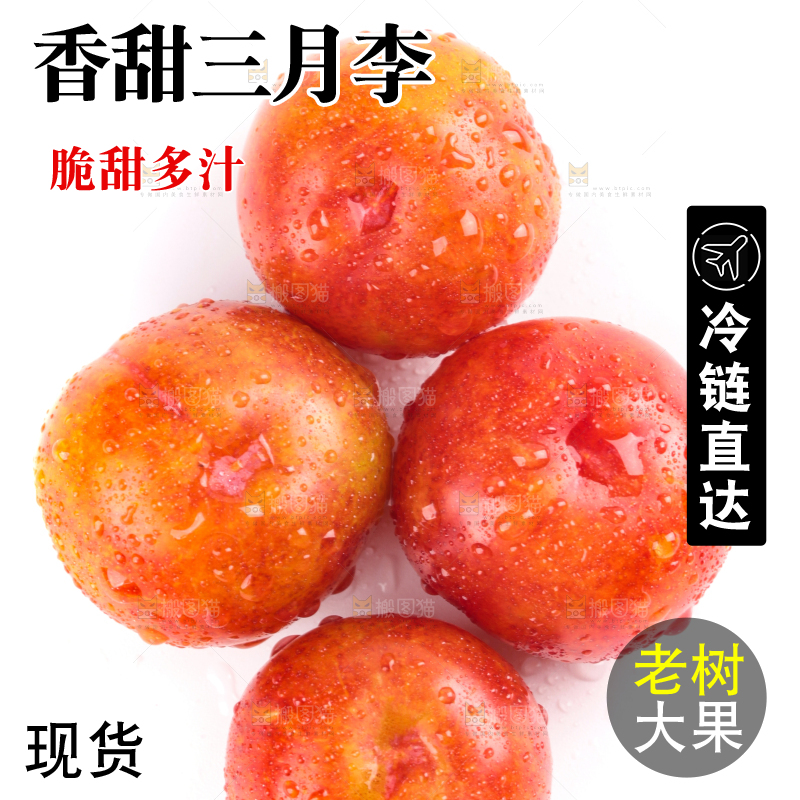 白底上的三月李