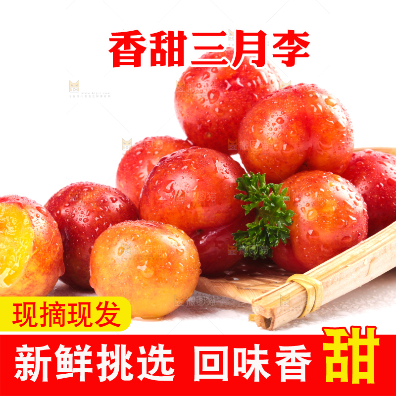 白底上的三月李
