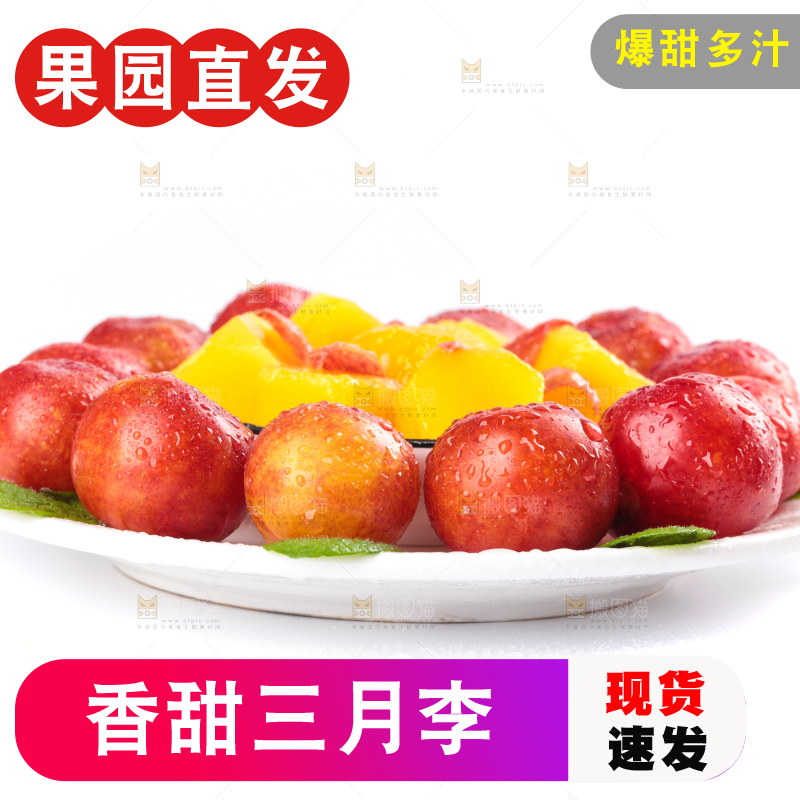 白底上的三月李