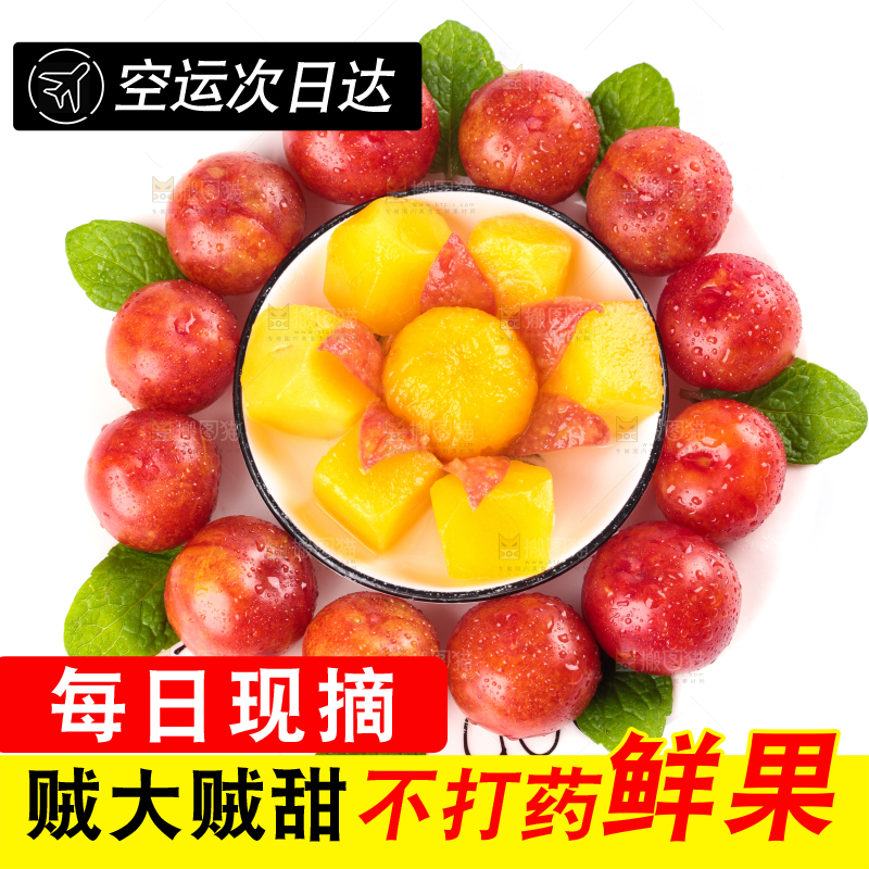 白底上的三月李