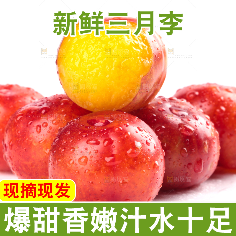 白底上的三月李