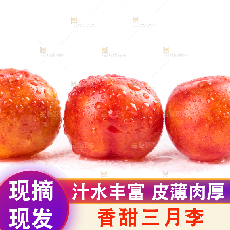白底上的三月李