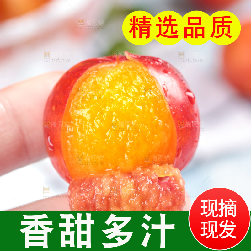 浅底上的三月李