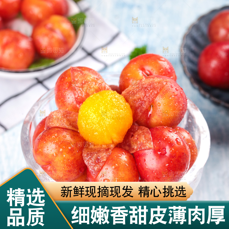浅底上的三月李