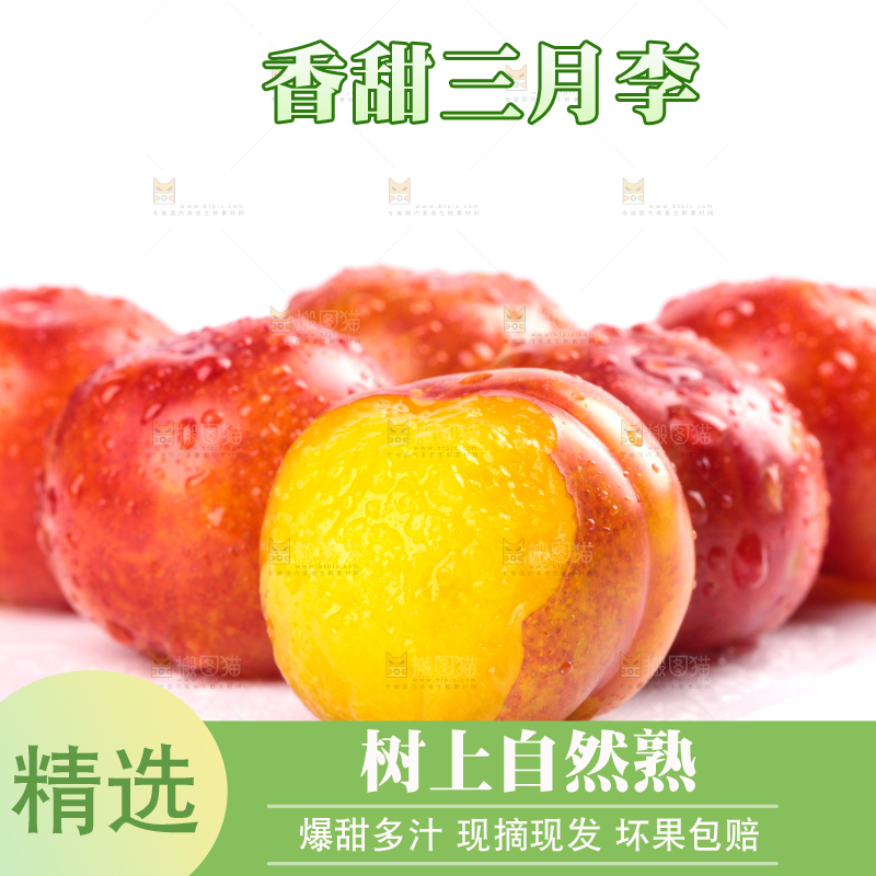 白底上的三月李