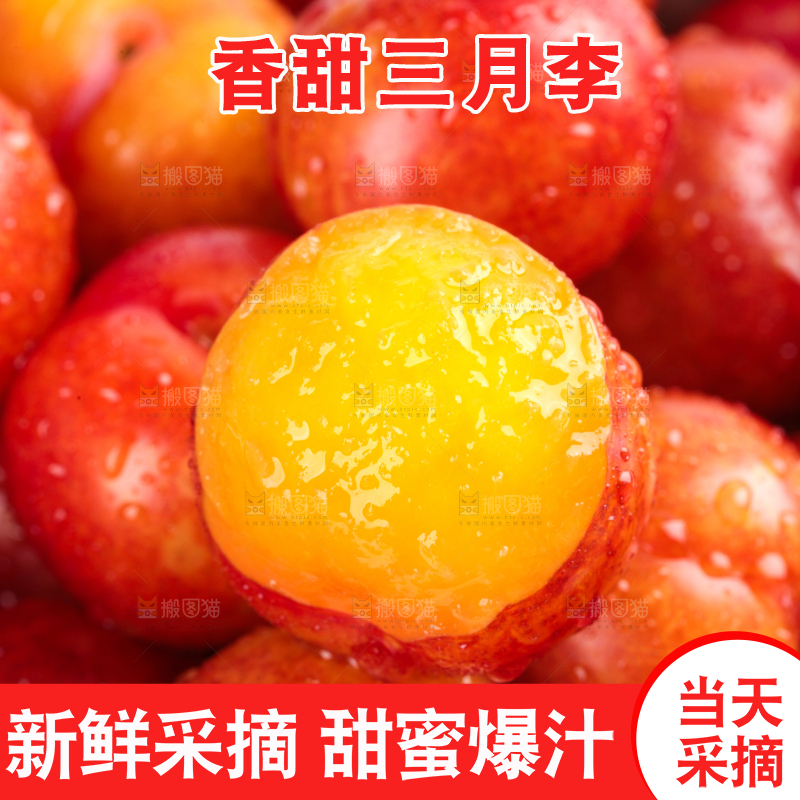 白底上的三月李