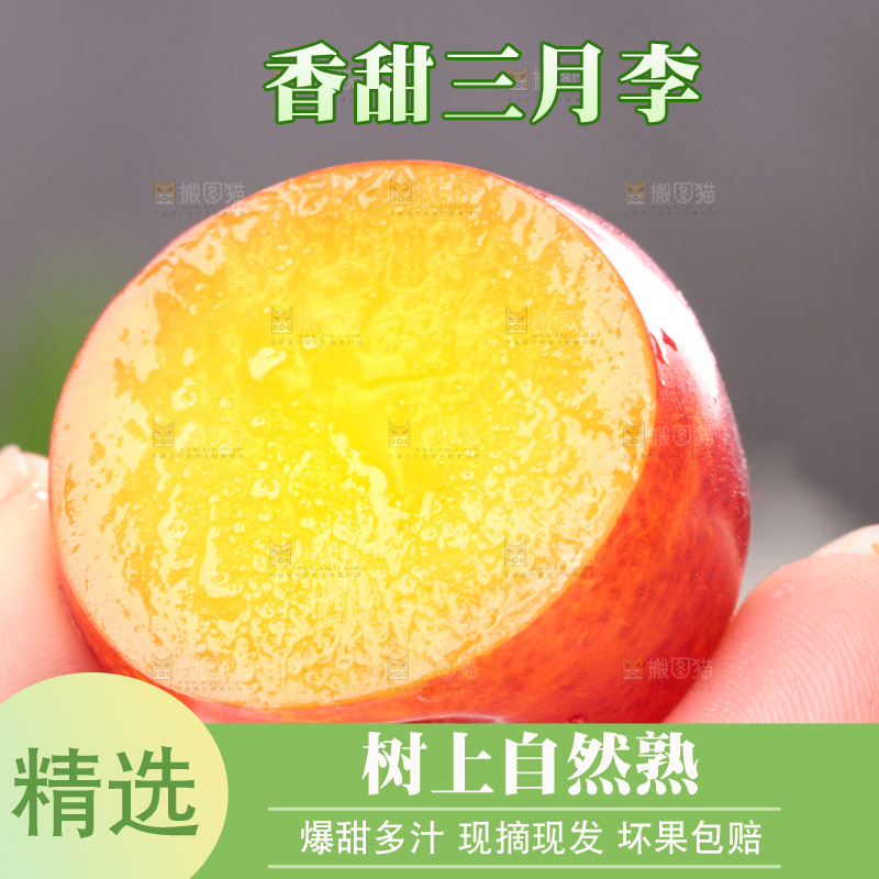 浅底上的三月李