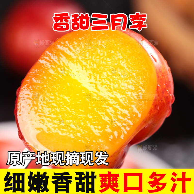 深底上的三月李