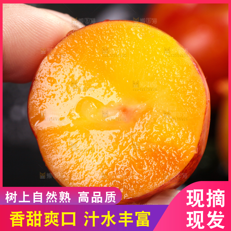 深底上的三月李