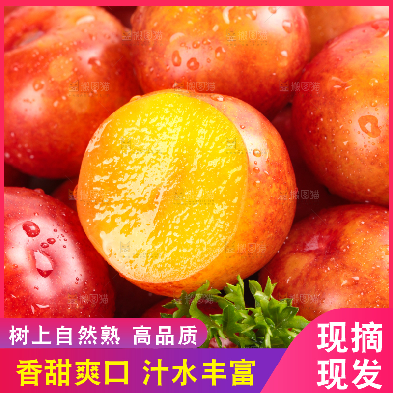 白底上的三月李