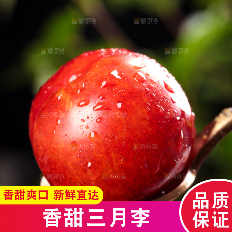 深底上的三月李