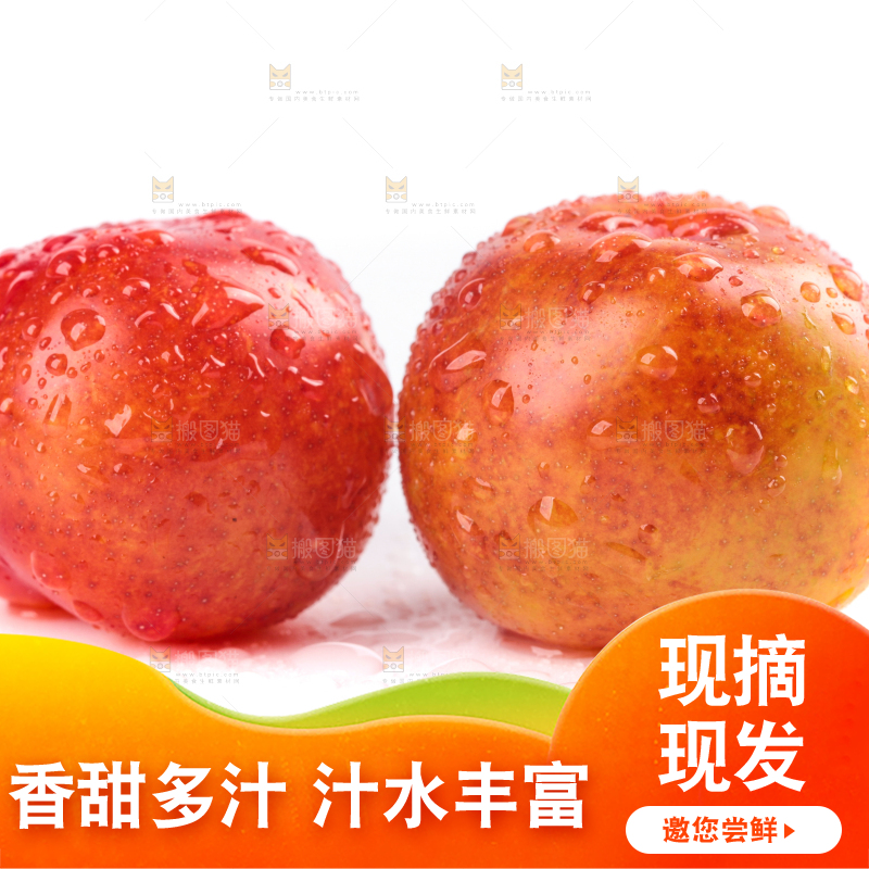 白底上的三月李