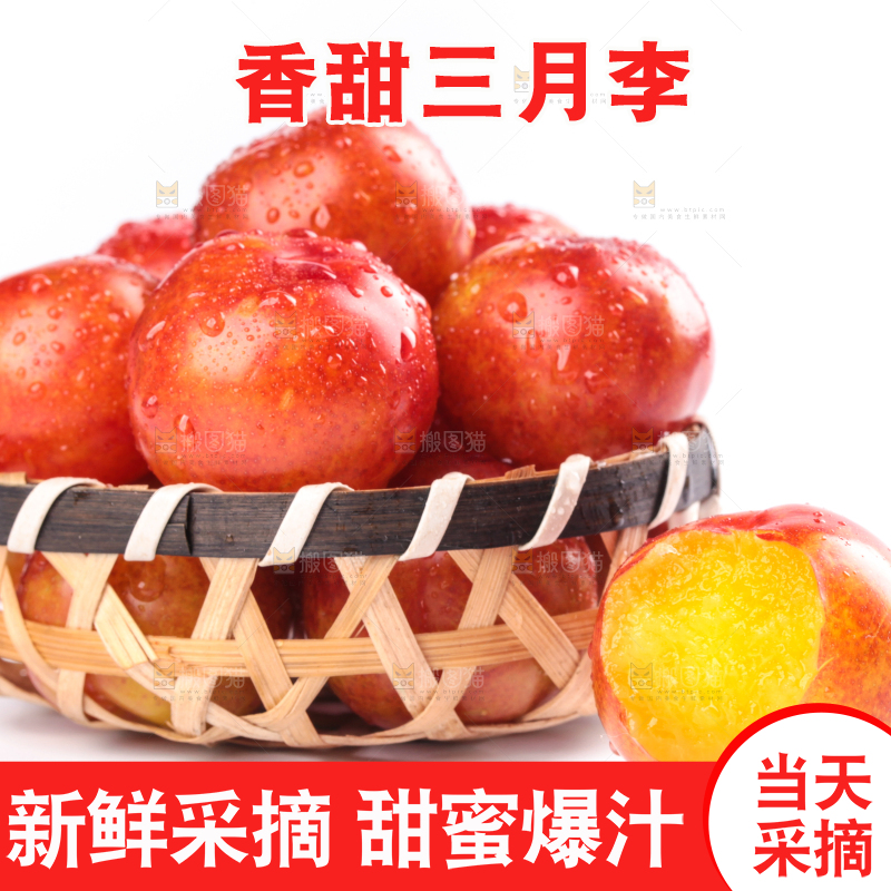 白底上的三月李