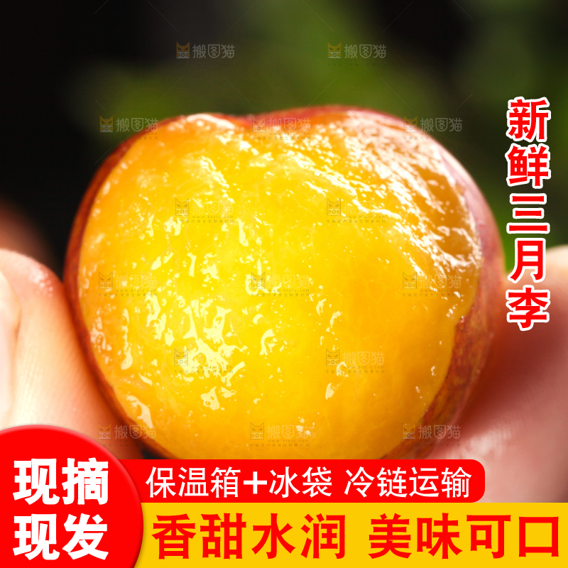 深底上的三月李