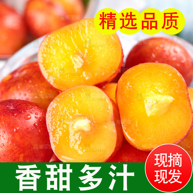 浅底上的三月李