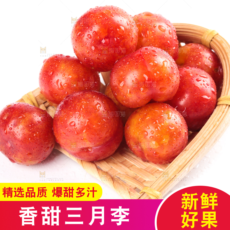 白底上的三月李
