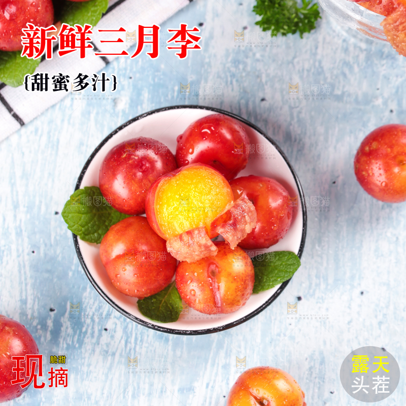 浅底上的三月李