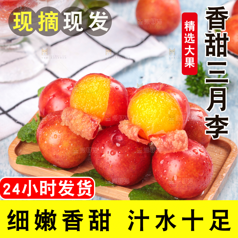 浅底上的三月李