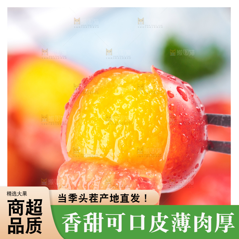 浅底上的三月李