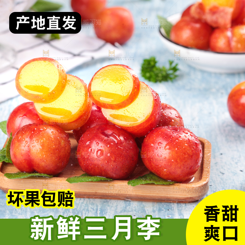浅底上的三月李