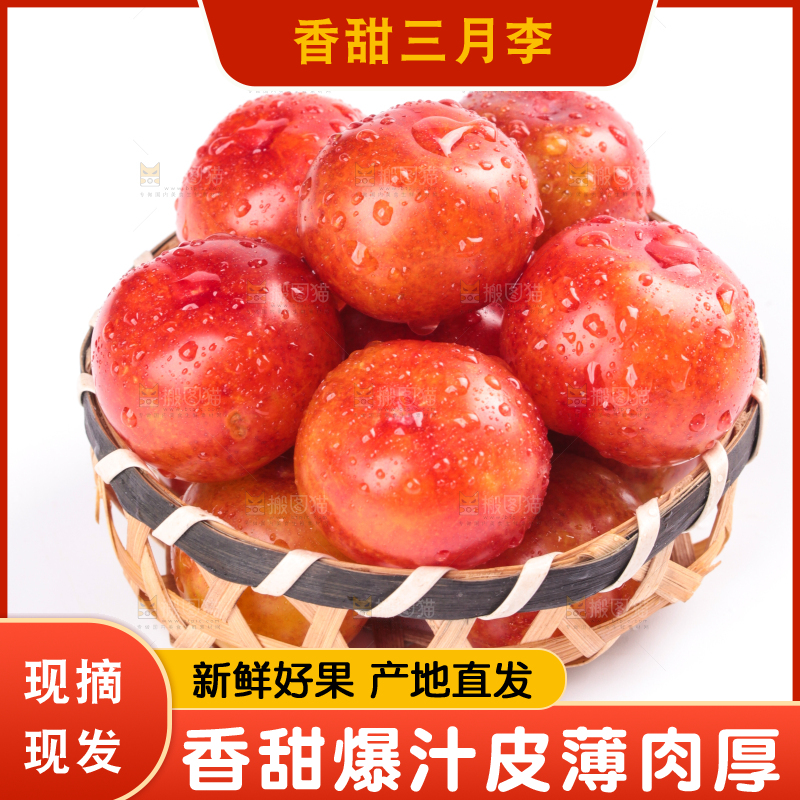 白底上的三月李