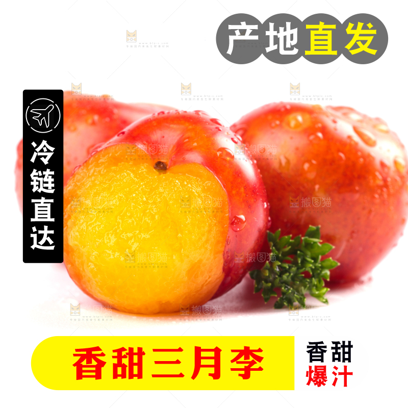 白底上的三月李