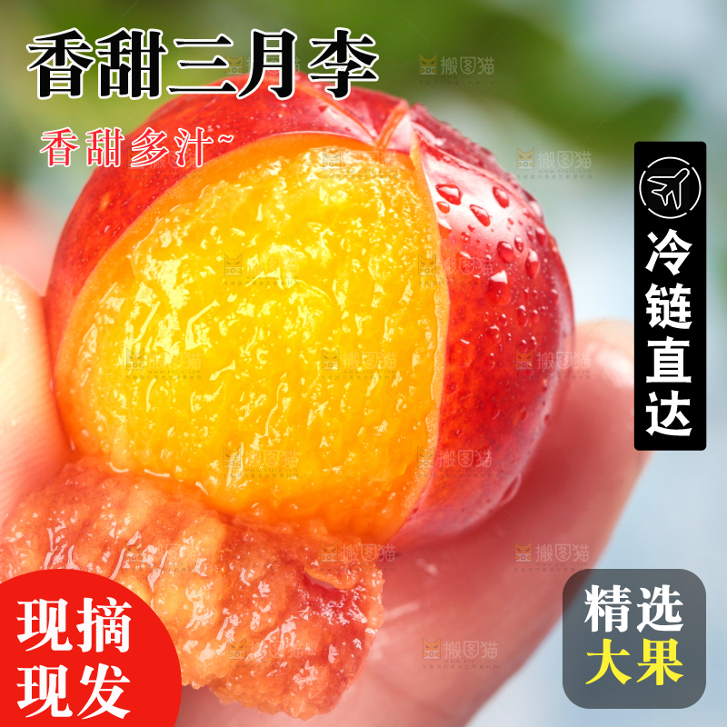 浅底上的三月李