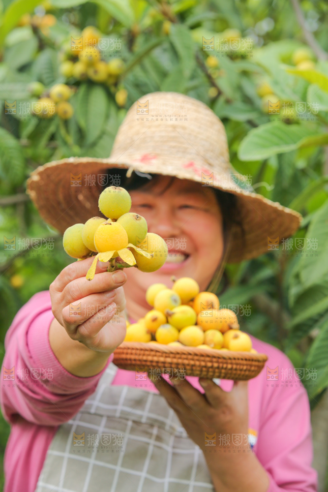 手里拿着现摘枇杷