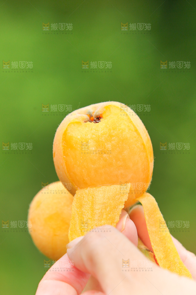 手里拿着现摘枇杷