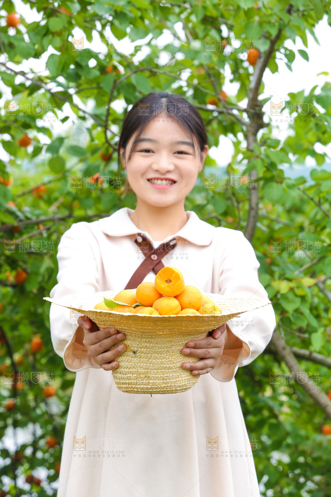 手里拿着新鲜大黄杏